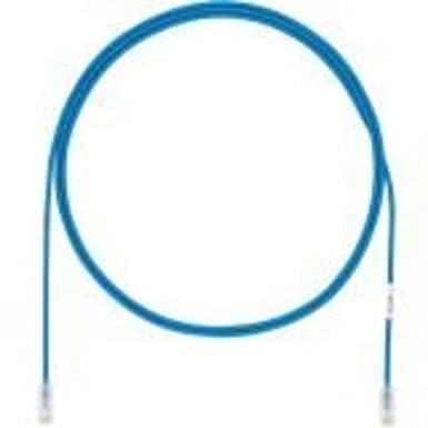 Panduit UTP Patch Network Cable - 1 ft Category 6a Network Cable for Network Device - First End: 1 x RJ-45 Male Network - Second End: 1 x RJ-45 Male Network - Patch Cable - Clear, Blue - 1 Pack