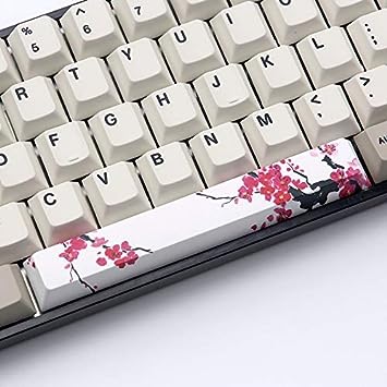 PBT Five Sides Dye-subbed Spacebar 6.25U Cherry Profile keycap for DIY Mechanical Keyboard (Sapcebar KIT 2)