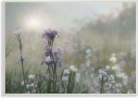 Stupell Industries Morning Violet Field Blooming Sung Glare Photography Wall Plaque, 15 x 10, Green