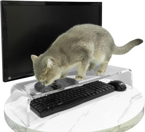 Keyboard Cover Anti-Cat, Clear Plexiglass Keyboard Protector , Effectively Prevent Cat from Touching The Keyboard? Or for Monitor and Laptop Raise Stand(20.8x6.7 in)