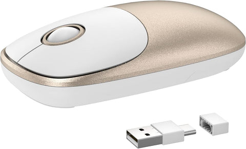 Wireless Mouse for Laptop - 2 in 1 Portable Computer Mouse with 2.4G USB and Type-C Nano Receiver, Less Noise Mobile Optical Mice for MacBook, Notebook, PC, ipad and Smartphone (White Gold)