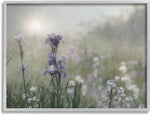 Stupell Industries Morning Violet Field Blooming Sung Glare Photography Grey Framed Wall Art, 30 x 24, Green