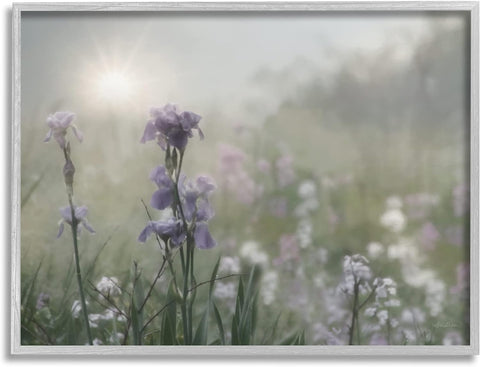 Stupell Industries Morning Violet Field Blooming Sung Glare Photography Grey Framed Wall Art, 30 x 24, Green