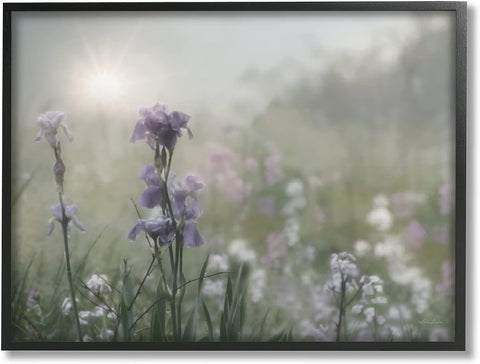 Stupell Industries Morning Violet Field Blooming Sung Glare Photography Black Framed Wall Art, 20 x 16, Green