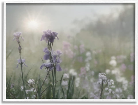Stupell Industries Morning Violet Field Blooming Sung Glare Photography White Framed Wall Art, 14 x 11, Green