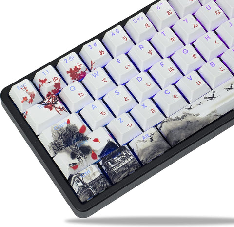 XVX Shine Through Keycaps - PBT Japanese Keycaps, 127 Keys Plum Blossom Custom Keycap Set Dye-Sublimation Cherry Profile Keyboard Keycaps for Cherry Gateron MX Switches Mechanical Keyboards