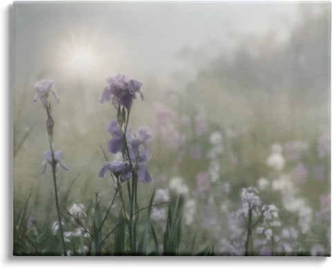Stupell Industries Morning Violet Field Blooming Sung Glare Photography Canvas Wall Art, 40 x 30, Green